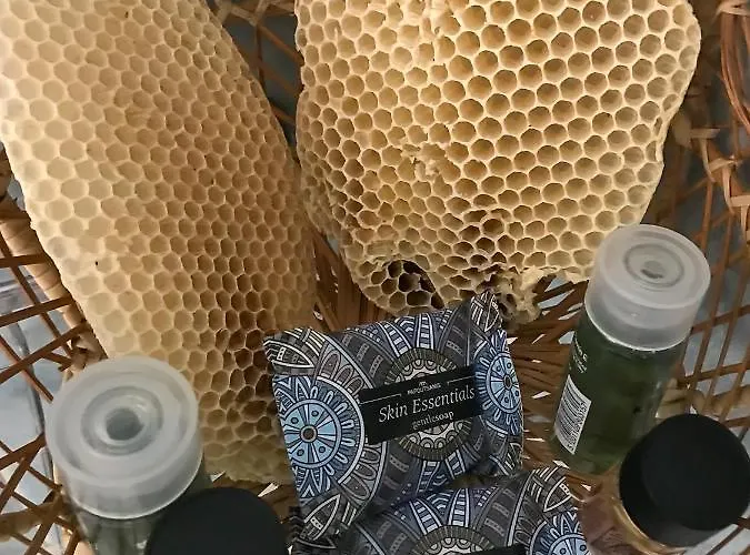 Apartment Alexandra's *