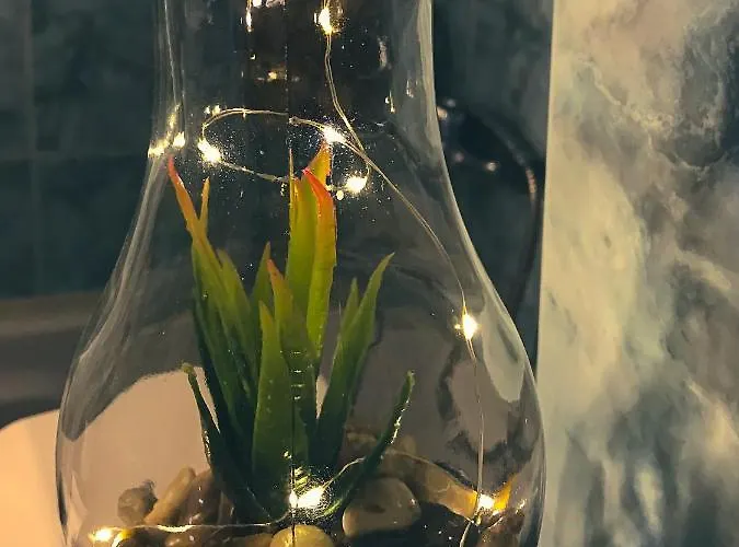 Apartment Alexandra's *